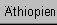 Arbeit in �thiopien: GILES