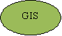 GIS